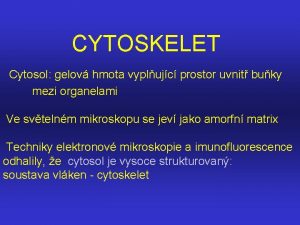 CYTOSKELET Cytosol gelov hmota vyplujc prostor uvnit buky