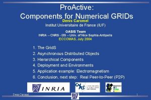 Pro Active Components Denis for Caromel Numerical GRIDs