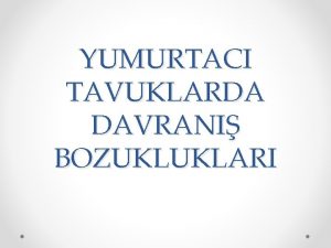 YUMURTACI TAVUKLARDA DAVRANI BOZUKLUKLARI GR Tavuk yetitiriciliinde hayvan