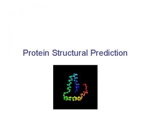 Protein Structural Prediction Structure Determines Function The Protein