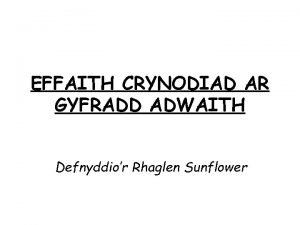 EFFAITH CRYNODIAD AR GYFRADD ADWAITH Defnyddior Rhaglen Sunflower