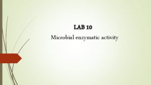 LAB 10 Microbial enzymatic activity Amylase production test