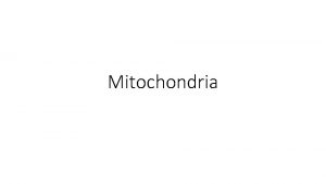 Mitochondria Mitochondria derives from two Greek words mitos