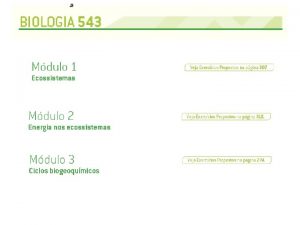 Ecologia Ecologia Conceitos Bsicos Indivduo Exemplar de uma