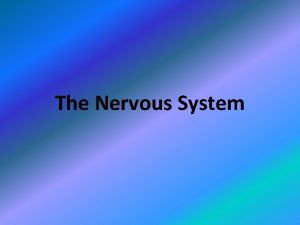 The Nervous System Peripheral nervous system PNS Central