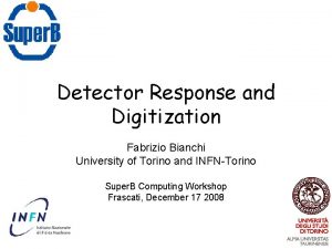 Detector Response and Digitization Fabrizio Bianchi University of