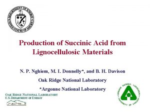 Production of Succinic Acid from Lignocellulosic Materials N