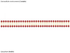 Extracellular environment Outside Cytoplasm Inside Cut out the