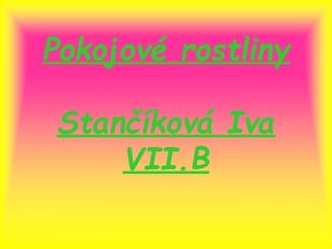 Pokojov rostliny Stankov Iva VII B vod Tko