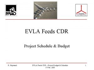 EVLA Feeds CDR Project Schedule Budget R Hayward