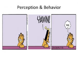 Perception Behavior Perception Behavior How do you see