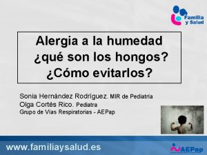 Alergia a la humedad qu son los hongos