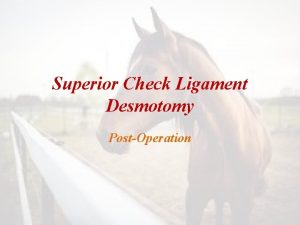 Superior Check Ligament Desmotomy PostOperation Postoperative Care A