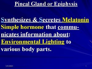 Pineal Gland or Epiphysis Synthesizes Secretes Melatonin Simple