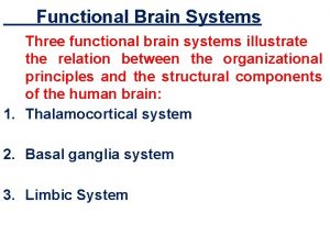 Functional Brain Systems Three functional brain systems illustrate