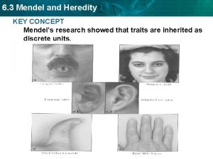 6 3 Mendel and Heredity KEY CONCEPT Mendels