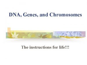 DNA Genes and Chromosomes The instructions for life