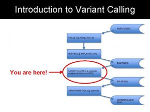 Introduction to Variant Calling You are here Some