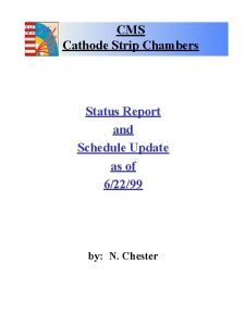 CMS Cathode Strip Chambers Status Report and Schedule