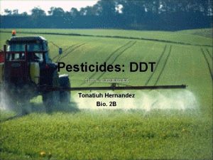 Pesticides DDT Tonatiuh Hernandez Bio 2 B What