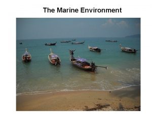 The Marine Environment Shoreline Features A beach is