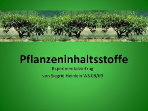 Pflanzeninhaltsstoffe Experimentalvortrag von Siegrid Heinlein WS 0809 Gliederung