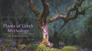 Plants of Greek Mythology By Rebekah Fortino Average