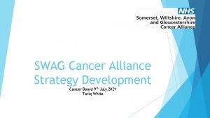 SWAG Cancer Alliance Strategy Development Cancer Board 9