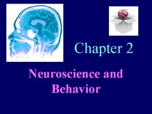 Chapter 2 Neuroscience and Behavior Neural Communication Biologicalneuroscience