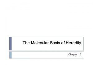 The Molecular Basis of Heredity Chapter 16 5