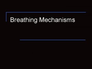 Breathing Mechanisms Processes of Respiration 1 Pulmonary Ventilation