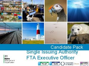Candidate Pack Single Issuing Authority FTA Executive Officer