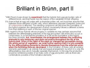 Brilliant in Brnn part II With Pisum it