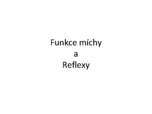 Funkce mchy a Reflexy Funkce pten mchy fylogeneticky