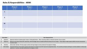 Roles Responsibilities ARMI Phase 0 Phase 1 Phase