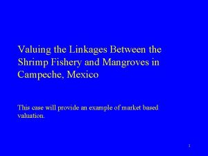 Valuing the Linkages Between the Shrimp Fishery and