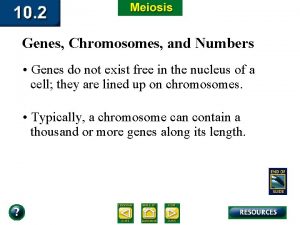 Genes Chromosomes and Numbers Genes do not exist