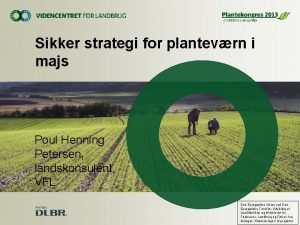 Sikker strategi for plantevrn i majs Poul Henning