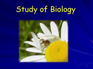 Study of Biology 1 What is Biology Biology