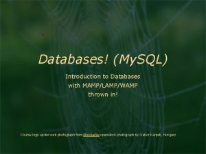 Databases My SQL Introduction to Databases with MAMPLAMPWAMP