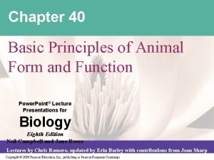 Chapter 40 Basic Principles of Animal Form and