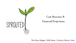 Cost Structure Financial Projections The Honey Badgers Kelly