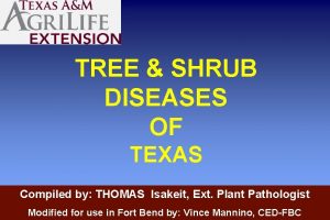 TREE SHRUB DISEASES OF TEXAS Compiled by THOMAS