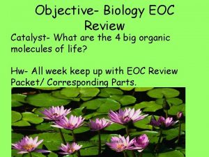 Objective Biology EOC Review Catalyst What are the