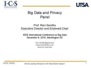 Big Data and Privacy Panel Prof Ravi Sandhu