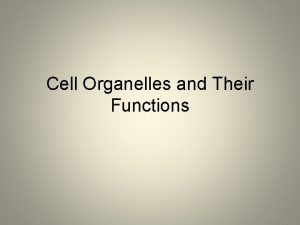 Cell Organelles and Their Functions The Animal Cell