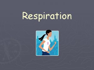 Respiration The Chemistry of Respiration energy and mitochondria