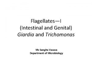 FlagellatesI Intestinal and Genital Giardia and Trichomonas Ms