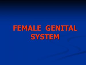 FEMALE GENITAL SYSTEM The female reproductive organs are