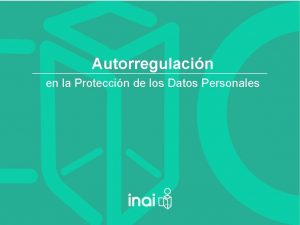 Autorregulacin en la Proteccin de los Datos Personales